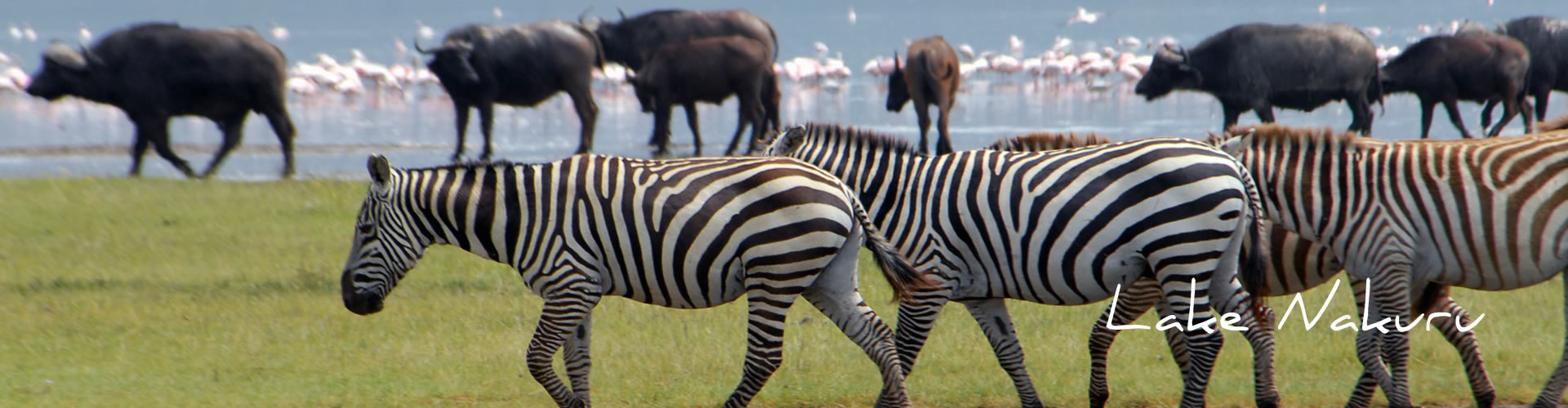 Lake Nakuru