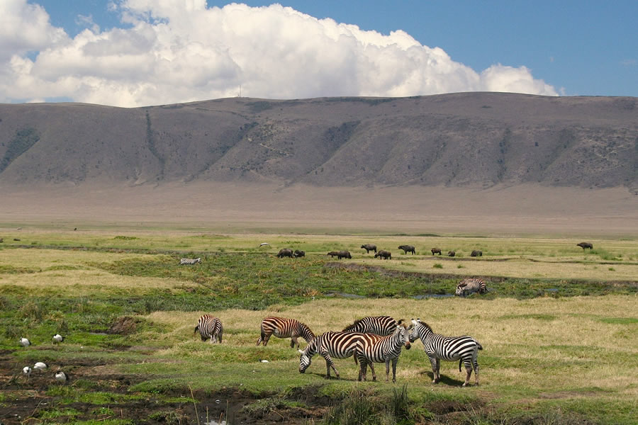 Ngorongoro, Tanzania