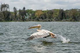 Rift Valley Lakes