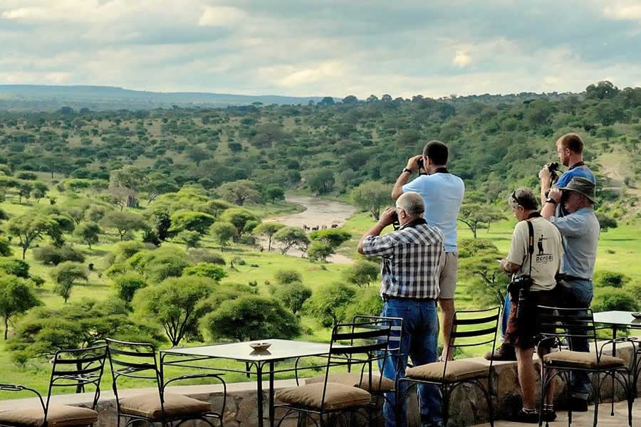 Tarangire Safari Lodge