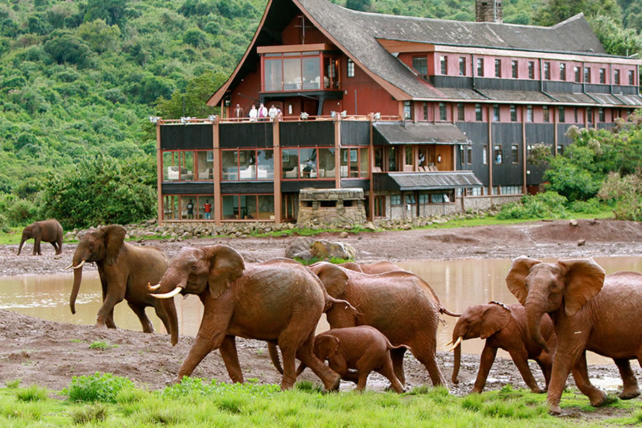 The Ark Lodge