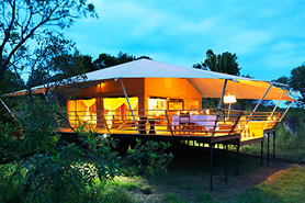 5 Days Tanzania Lodge Safari